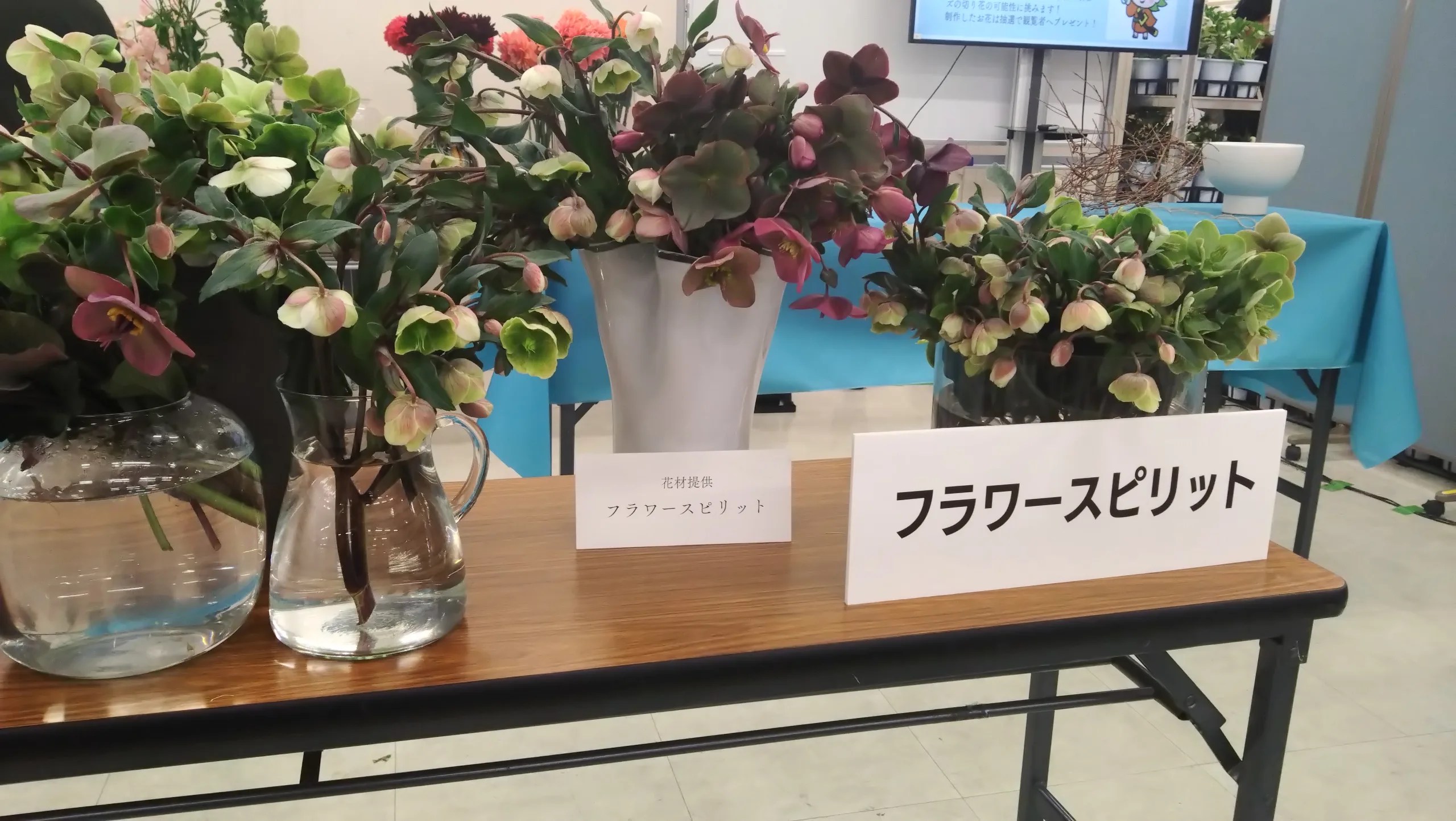 過去の様子（2025）