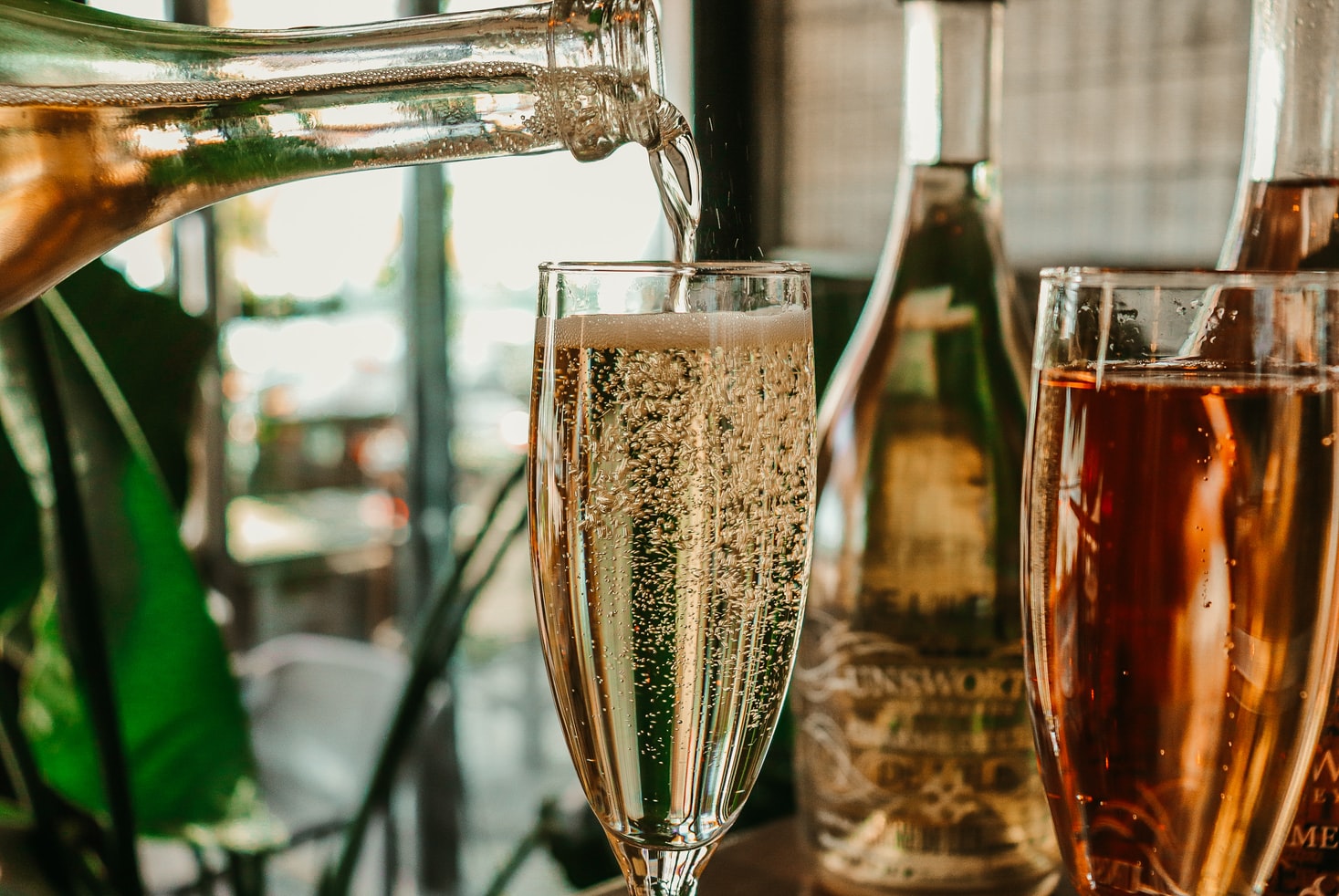 sparkling wine