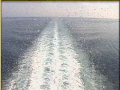 Cruise Ship Webcams Cruisemiss Cruise Blog