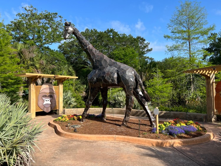 Get Wild at the Jacksonville Zoo on Your Next Carnival Elation Cruise from Jacksonville, Florida