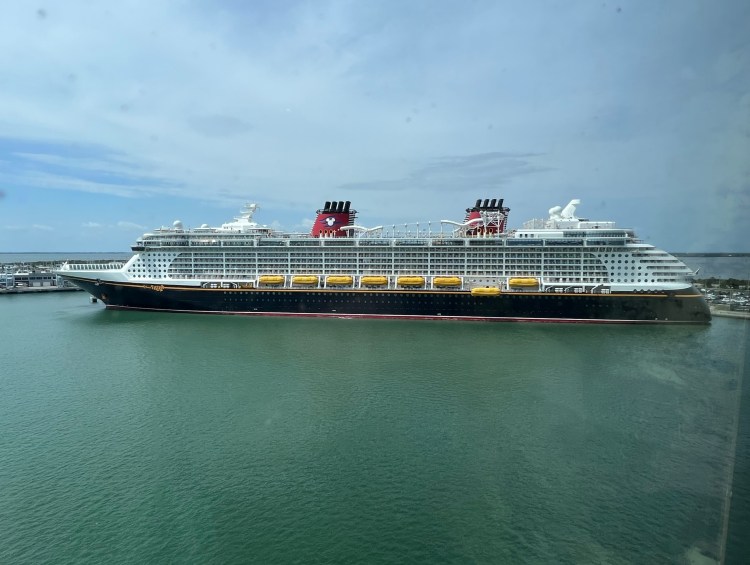 Cruise Ship Shorts - Cruise Ship Disney Fantasy Docked at Port Canaveral Florida