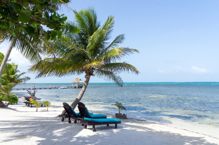 Relaxing beach on the Caribbean coast of Belize