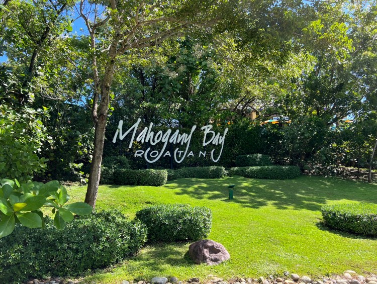 Mahogany Bay Cruise Port Guide: A Tropical Gateway to Roatan