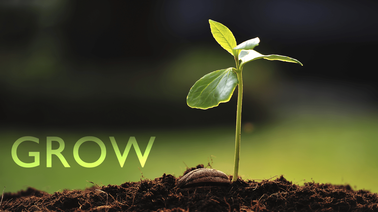 Growing Up: [The Growth Chronicles – Part VI]
