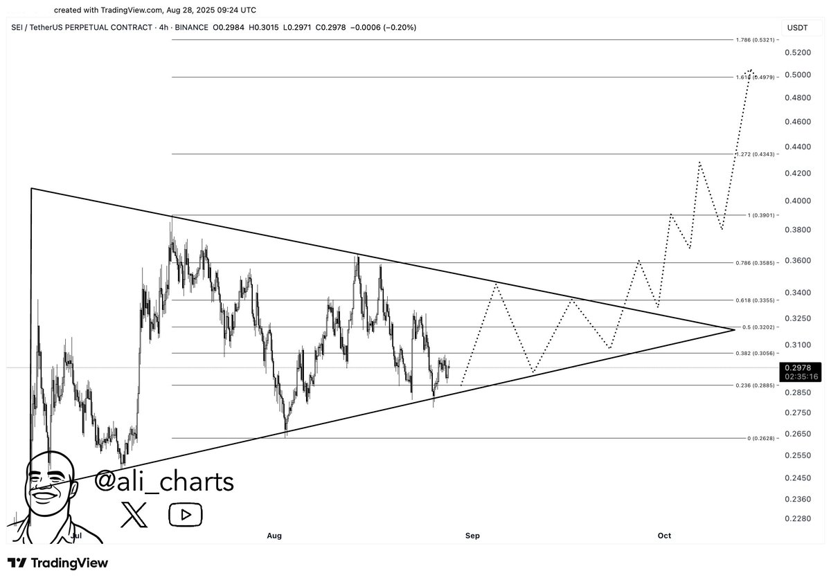1H SEI chart. Source: Ali on X