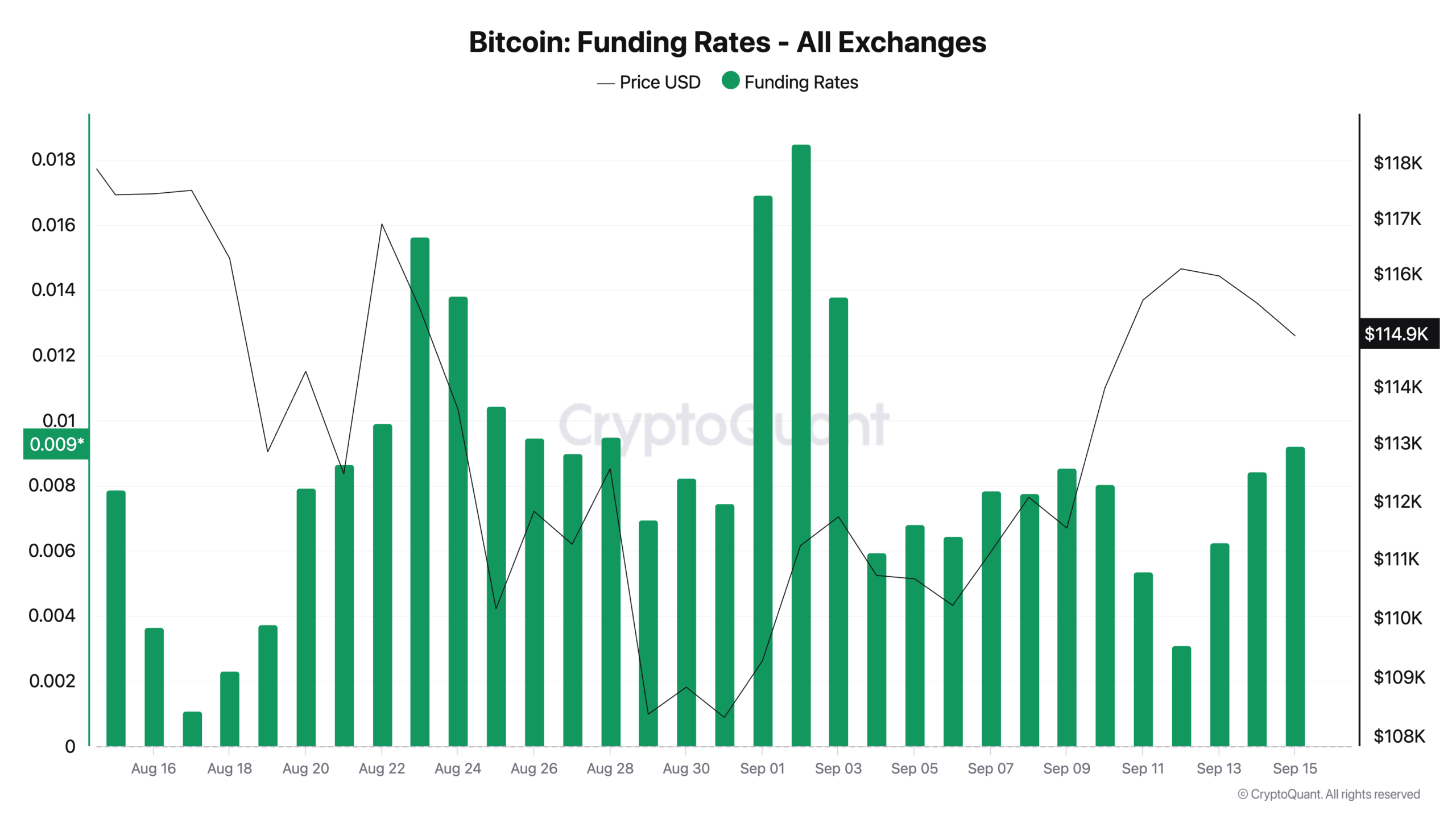 Bitcoin Perpetual Futures Funding Rates