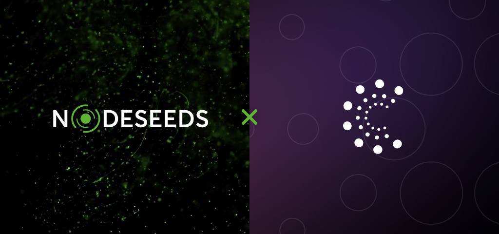 nodeseeds
