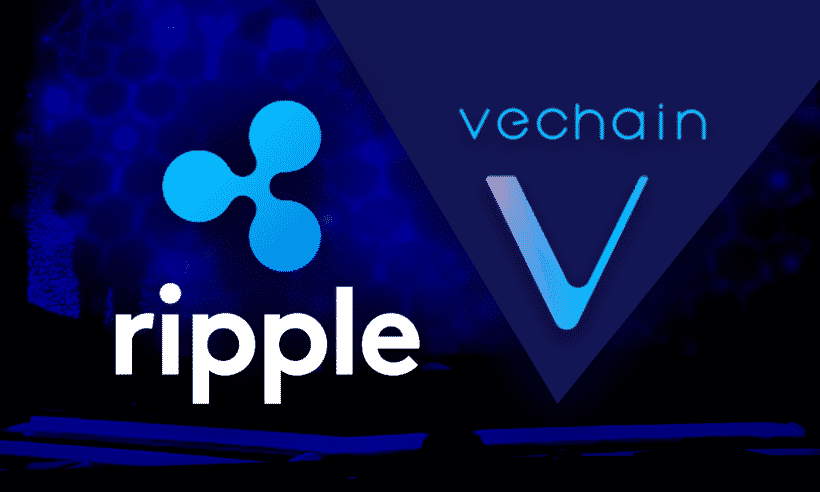 Everything you need to know to be smarter about investing in cryptocurrency, including bitcoin and altcoins like ethereum and dogecoin start investing your spare change into your future and then grow with us from there. Ripple And Vechain Might Team Up Rumors Claim Cryptogazette Cryptocurrency News
