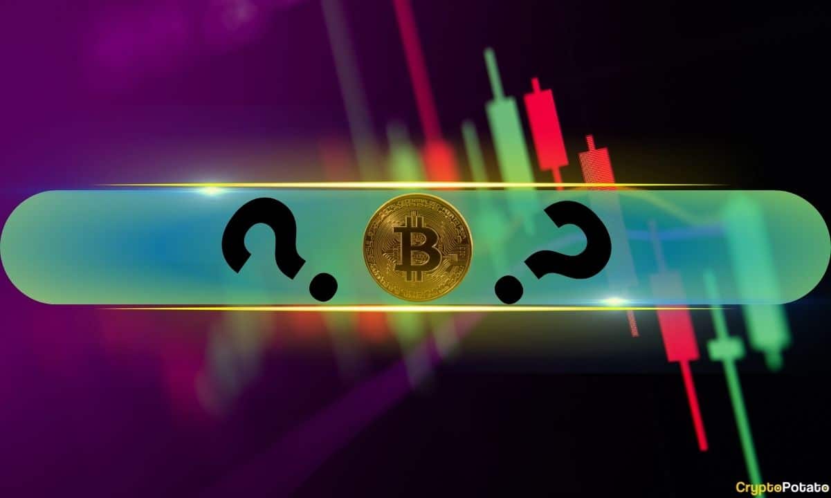 Bitcoin Reclaims $80K: Top Altcoins Surge | Crypto Market Update (2026)