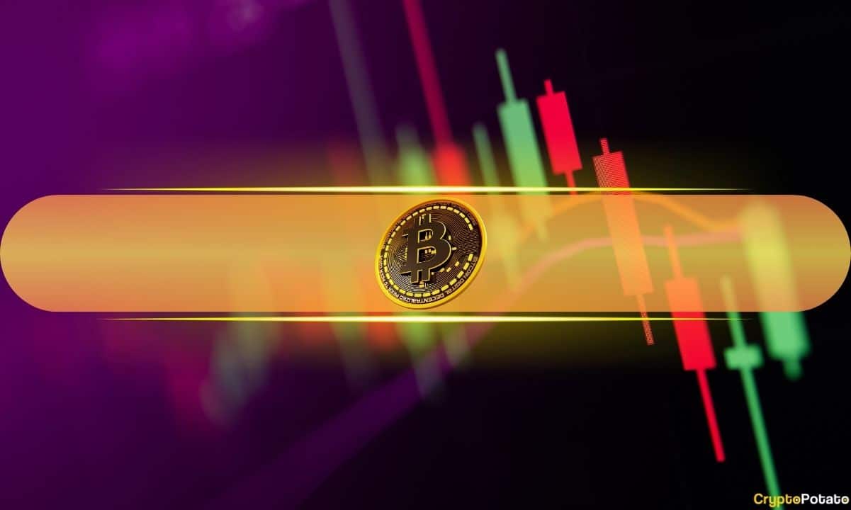 BNB vs XRP: Who's Winning the Market Cap Battle? BTC Dips Below $67K - Crypto Market Update (2026)