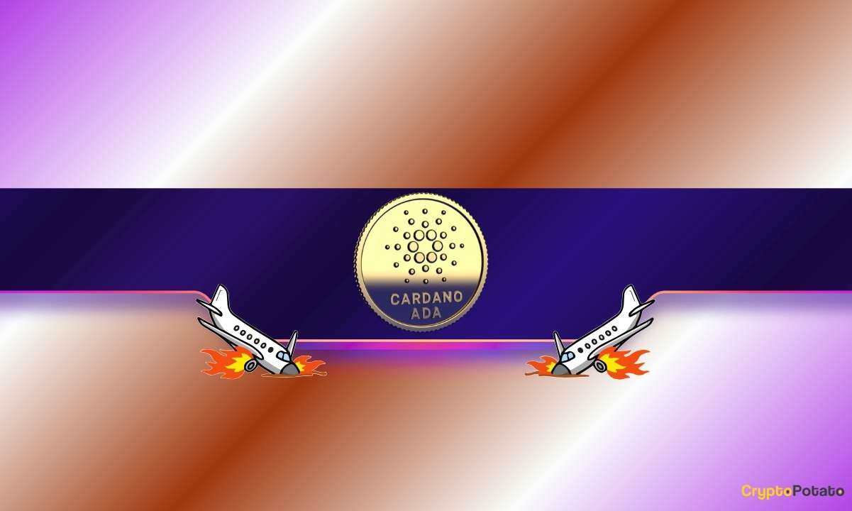 Why Cardano Investors Are Moving Assets to Self-Custody Now