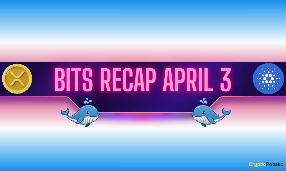 Ripple and Cardano Whales Woke up, Binance Unveiled Important Updates: Bits Recap April 3