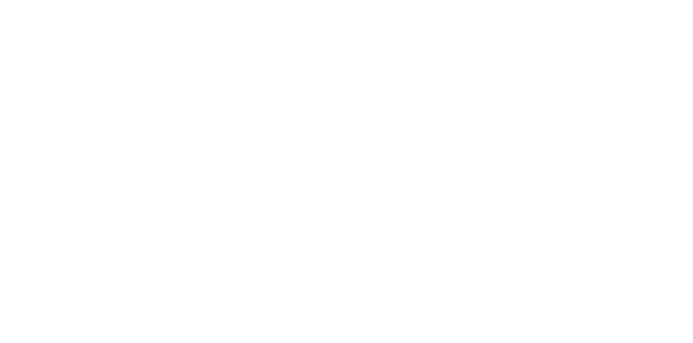 Single Image