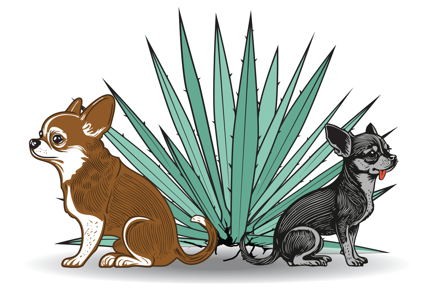 Two chihuahuas sit back-to-back in front of a large spiky agave plant (cartoon illustration).