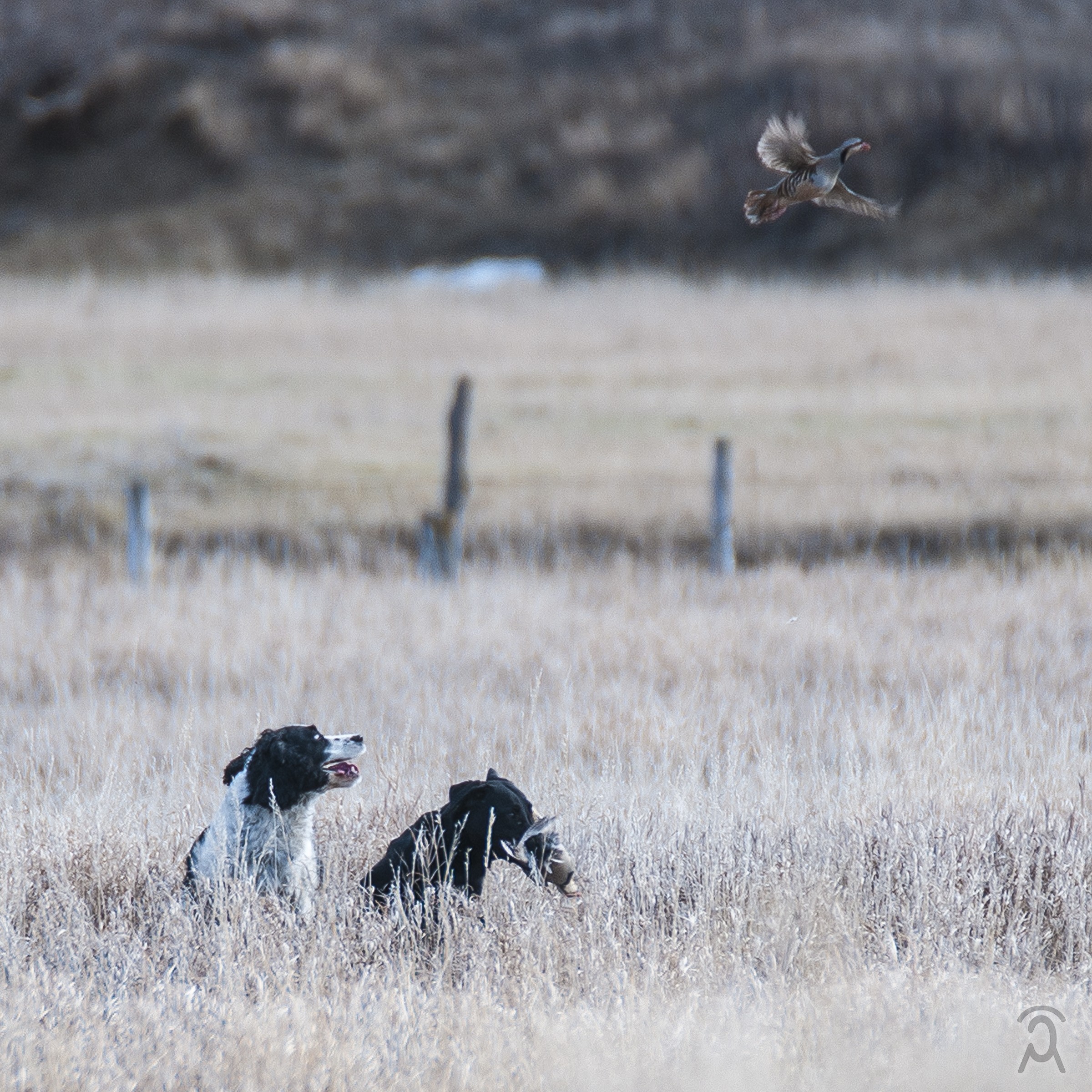 Krys Park, Gillette, WY