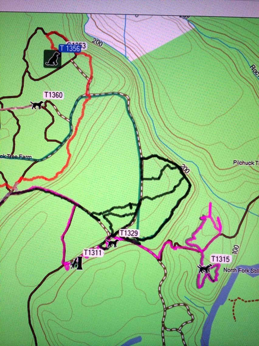 Map showing search dog tracks