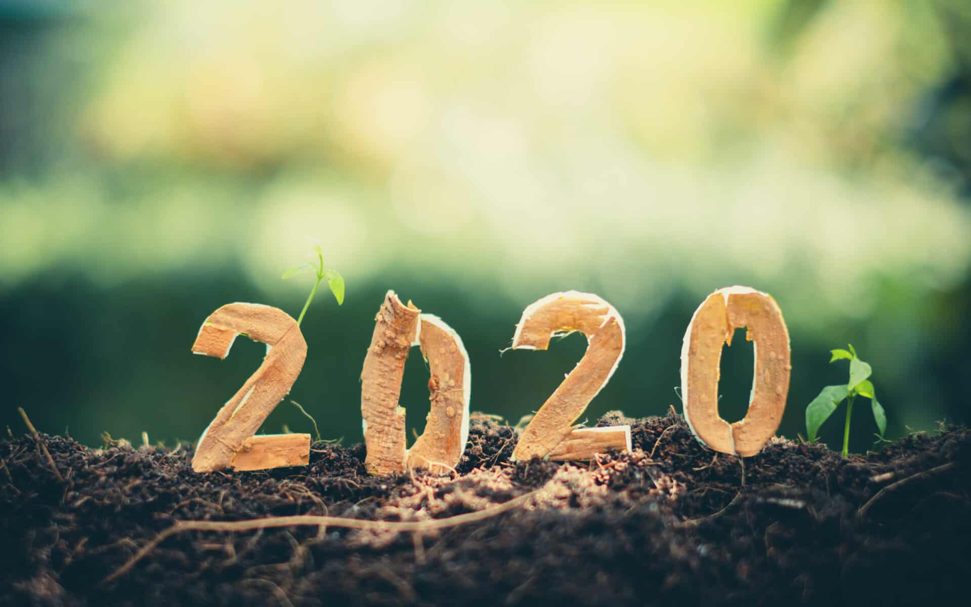 Happy New Year 2020 Social Media Video 2019 2020 Change Background
