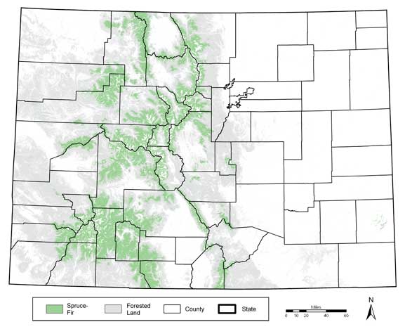 Colorado Forest Service Maps Forest Type Map Sprfir2011 
