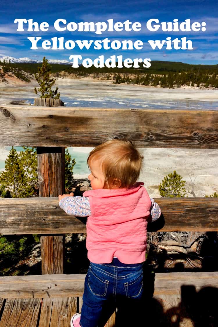 Popular campsites for yellowstone national park vacations: The Complete Guide Yellowstone With Toddlers Cs Ginger Travel
