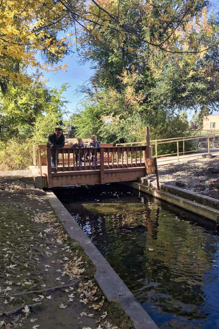 1000 springs tours allows you to kill two birds with one stone by enjoying a delicious meal and exploring a beautiful region along the snake . 12 Top Things To Do In Hagerman Idaho Hot Springs Camping Details Cs Ginger Travel