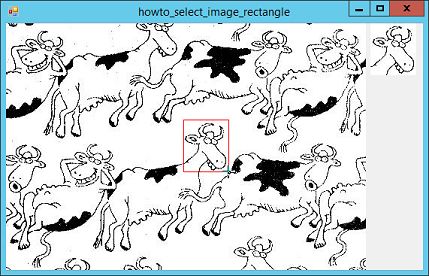 C Example To Select Resize And Move A Rectangle On An Image Using - Best City Pictures in High Resolution
