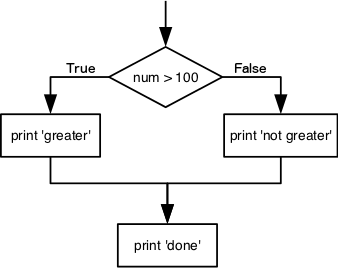 Github Introduction To Programming With Python Conditionals This - Premium Ocean Illustration Gallery - Desktop