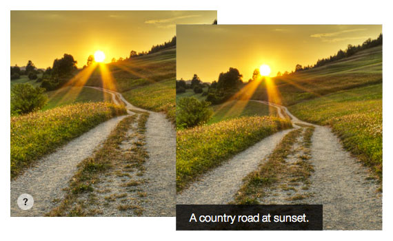 Slide In Image Captions | CSS-Tricks