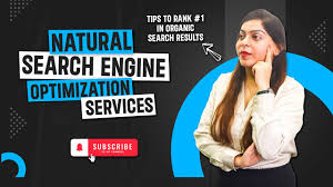 Natural Search Engine Optimization Services: A Guide to Sustainable Growth