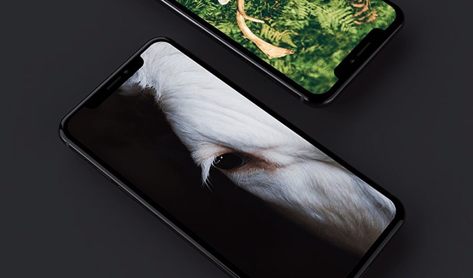 Learn how to create a vector iphone mockup in adobe illustratorcheck out my photoshop and illustrator kits! 21 Iphone X Xs Xr Mockups You Can Download For Free Photoshop Sketch Illustrator Adobe Xd Cssigniter