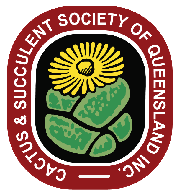 CSSQ