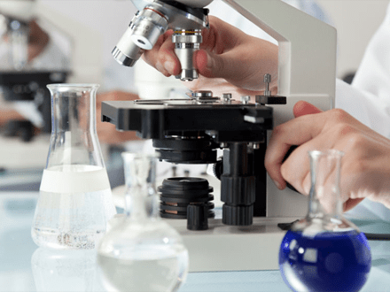 Virtual Workshop Qrm Csv Laboratory Application System Pdf - Nature Image Collection - Mobile Quality