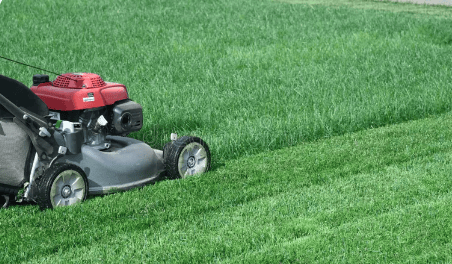 lawnmower