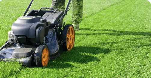 lawnmower2.webp