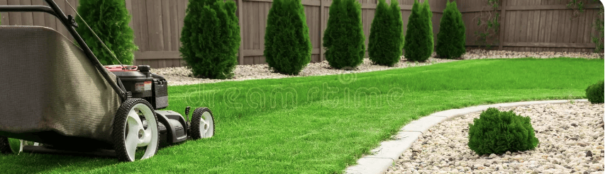 lawnmower3.webp