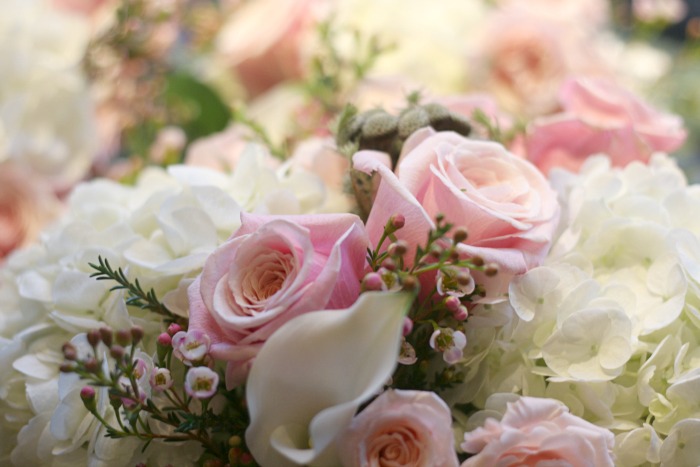 Pink Roses and hydrangea