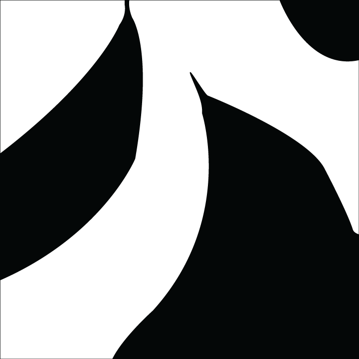 Reversable-Figure-Ground
