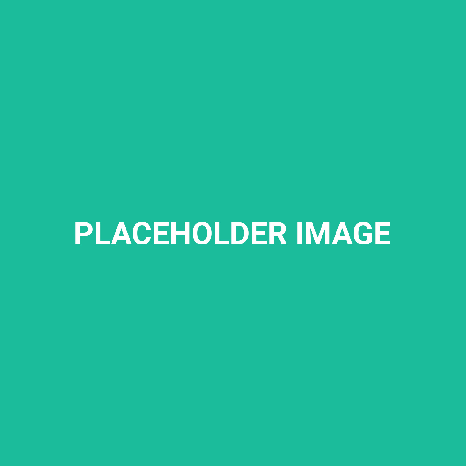 Placeholder 5