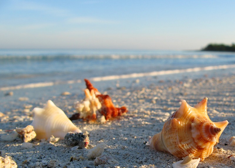 Tezsale.ru предлагает туры в варадеро из спб от тез тур 2018. Tur Na Kubu Robinzon 14 Dnej 12000 Usd Kuba Cuba Tury Na Kubu Varadero Gavana Arenda Doma Avto Ekskursii Kurorty Oteli Otdyh Plyazhi Dajving Sovety