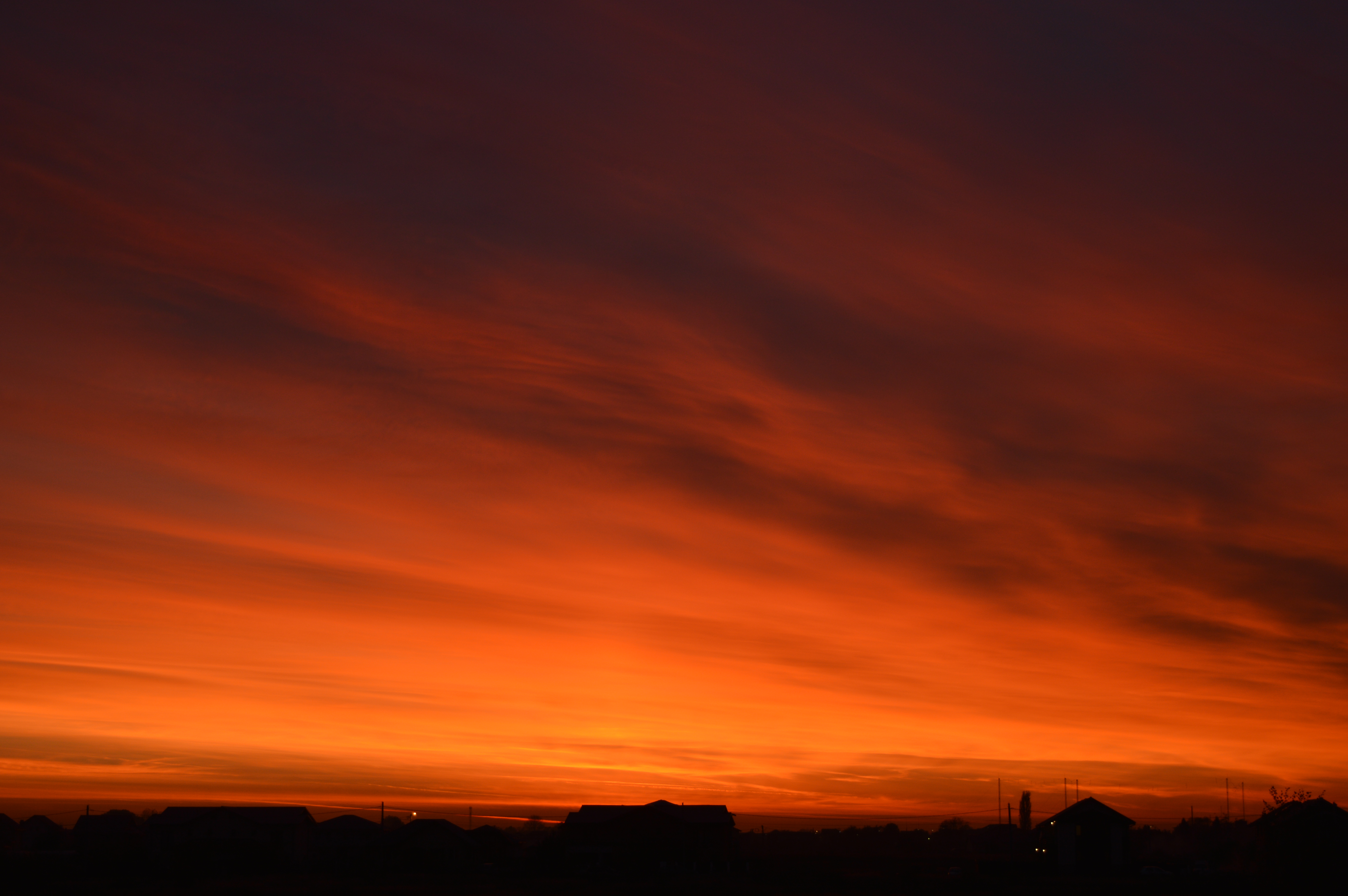 DSC_0115