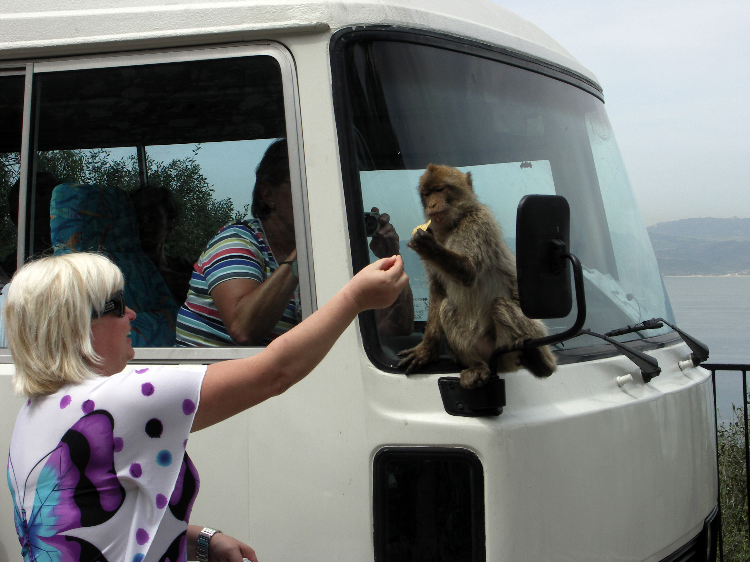 KONICA MINOLTA DIGITAL CAMERA