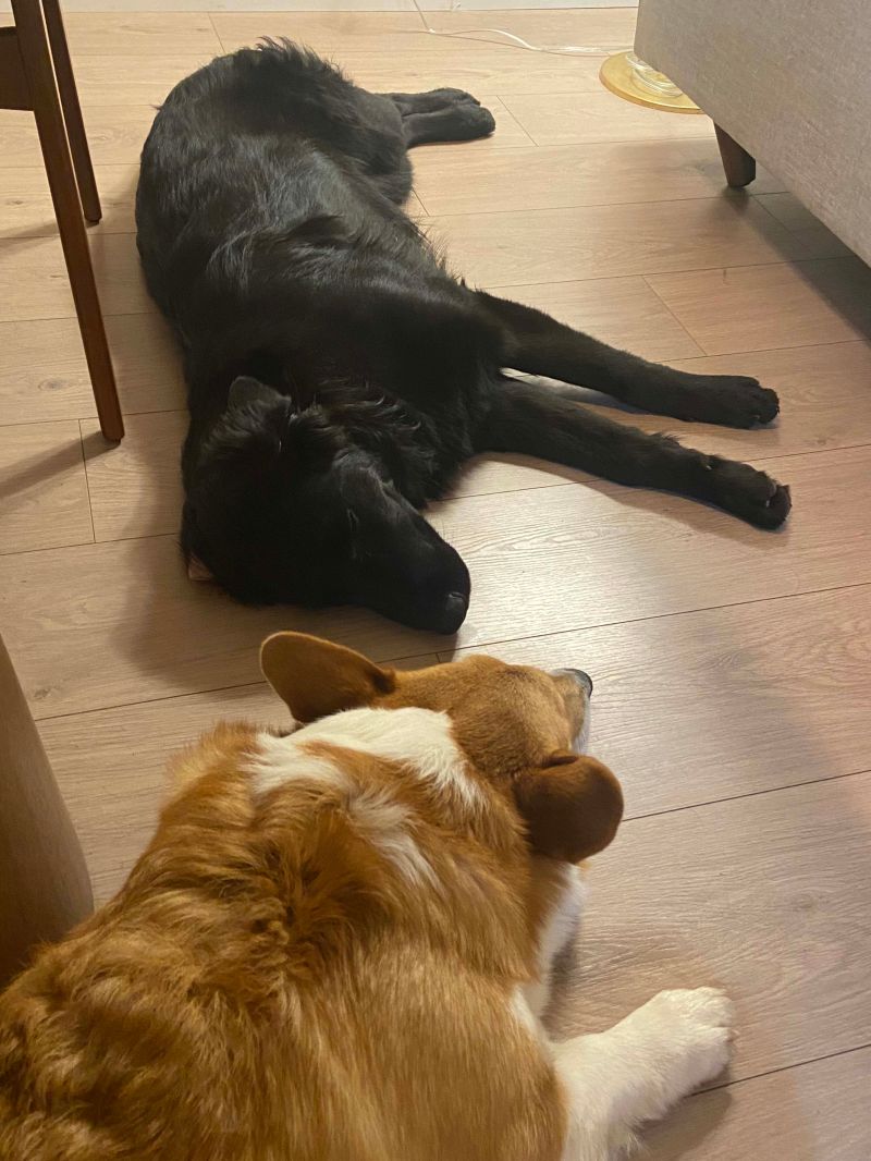 Pearhost Cz Github - Best Minimal Images in Desktop