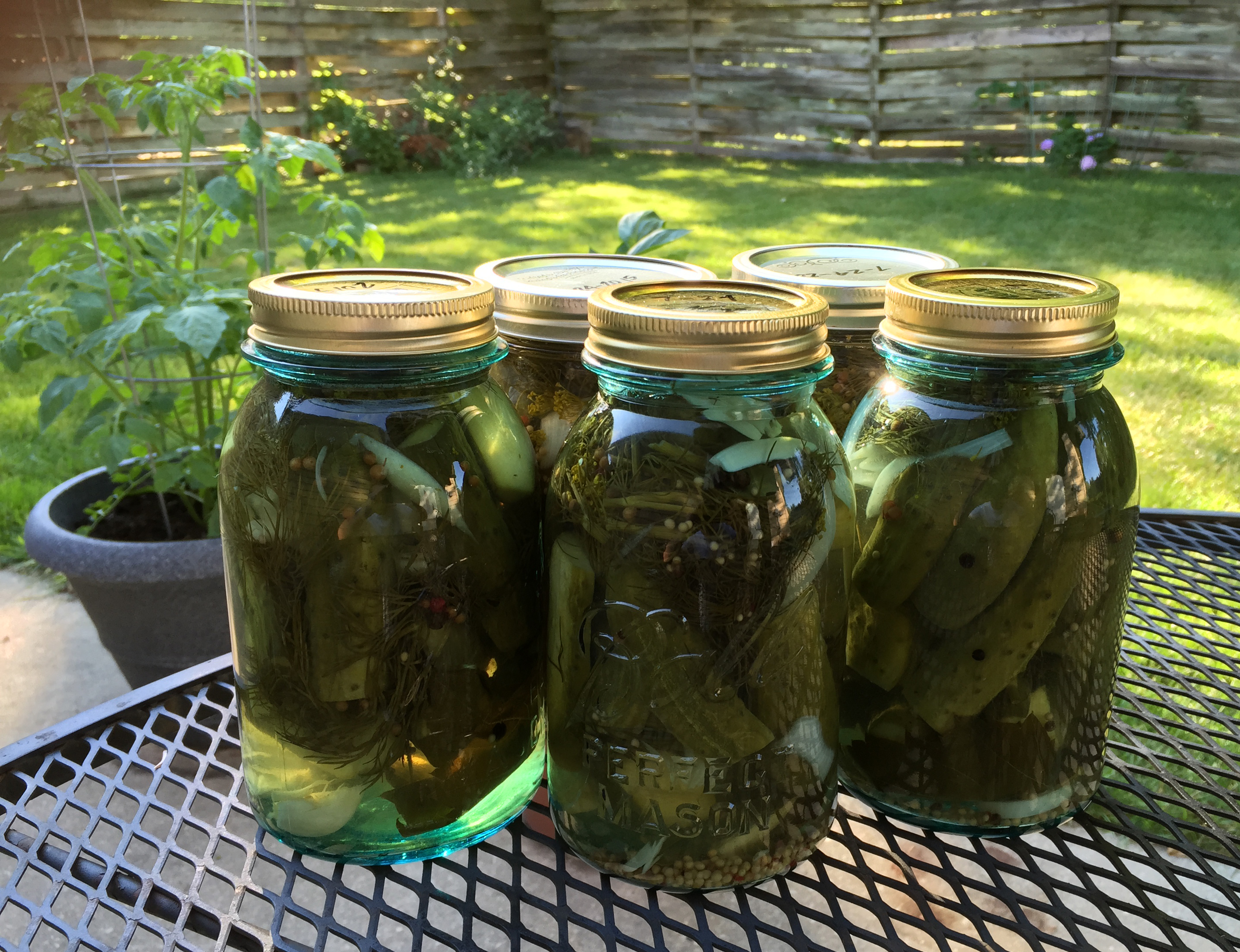 Garlic Dill Pickles