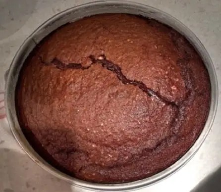 Gâteau au cacao moelleux à l'huile, saupoudré de sucre glace, tranche découpée