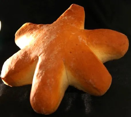 Fouace nantaise, brioche en étoile du vignoble nantais