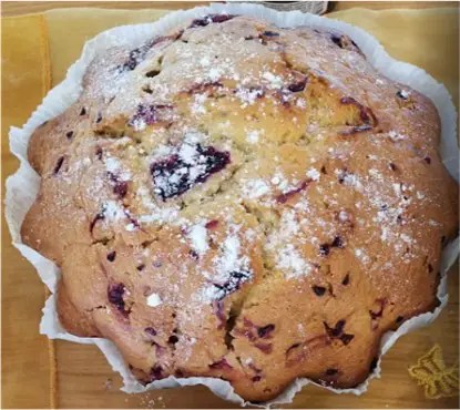 Tourte aux myrtilles saupoudrée de sucre glace, gâteau moelleux de Bigorre