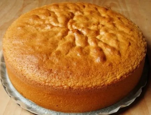 gâteau éponge à la noix de coco saupoudré de sucre glace