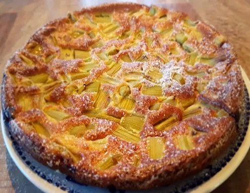 Clafoutis à la rhubarbe du Nord, doré, saupoudré de sucre glace