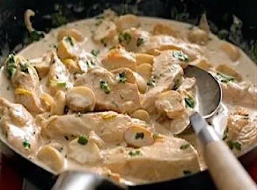 Poulet à la crème façon mère Blanc dans un plat de service, morceaux de volaille nappés d'une sauce crème ivoire