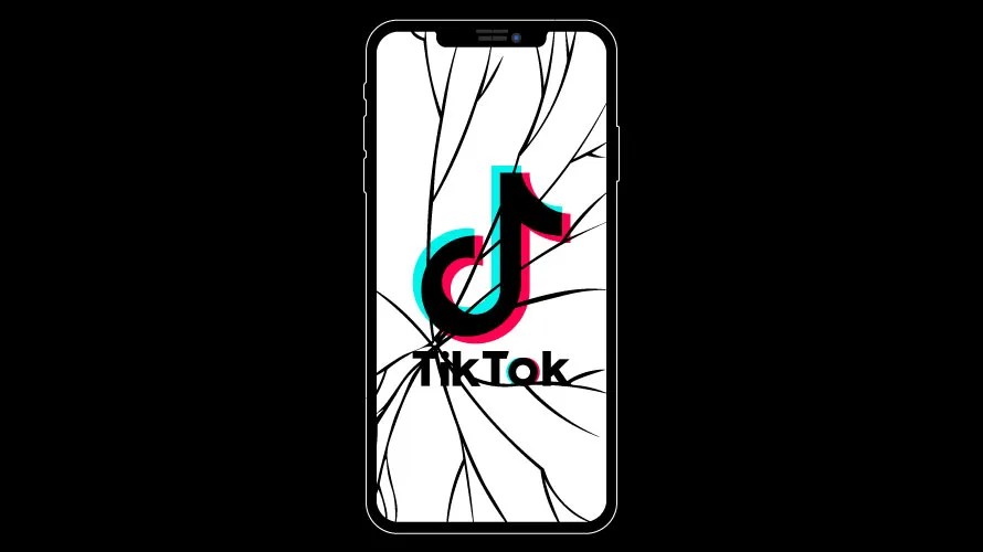 Tik Tok Disruptions: Is Nigeria’s North Experiencing Some Sort of Censorship?