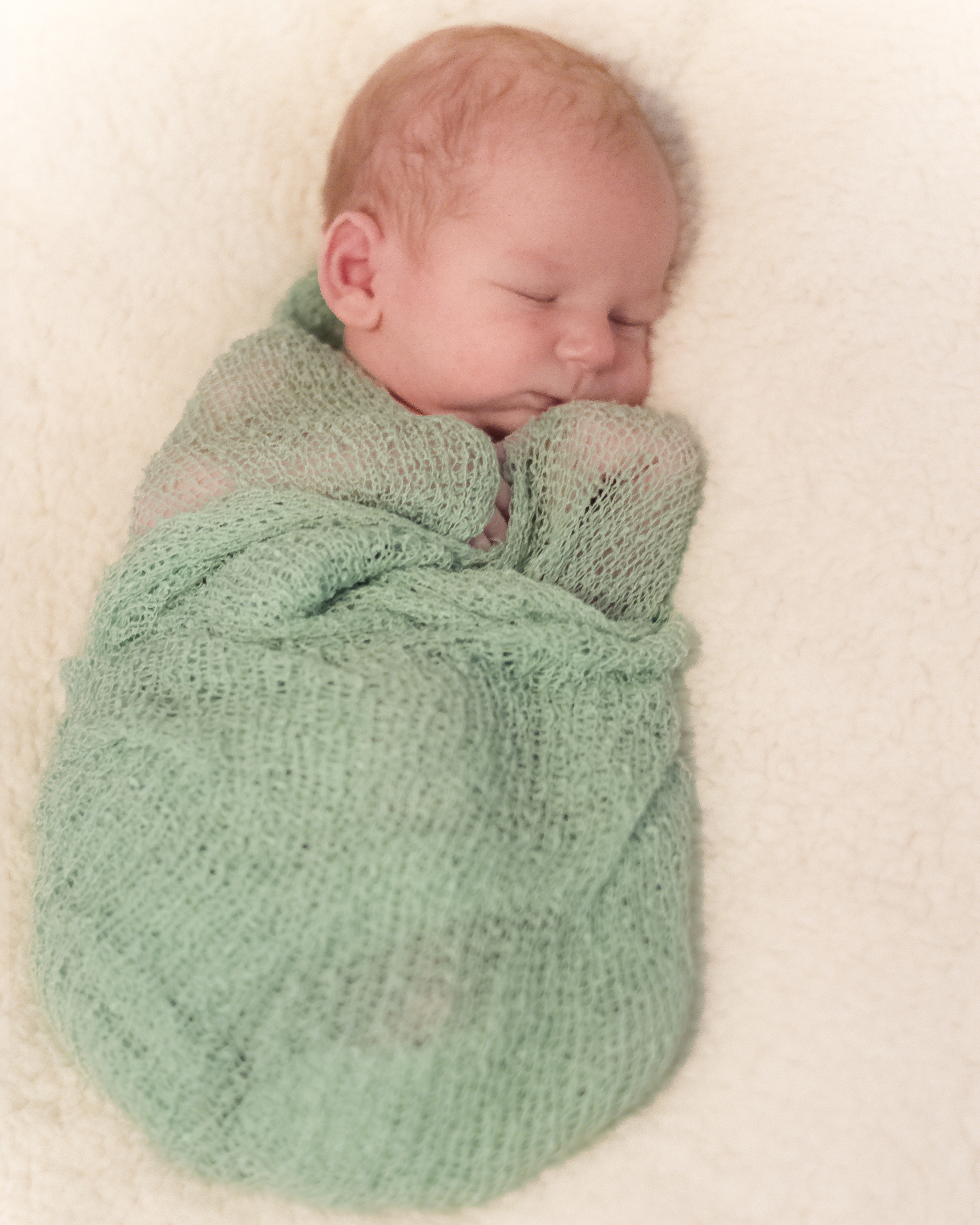 Newborn Portraits